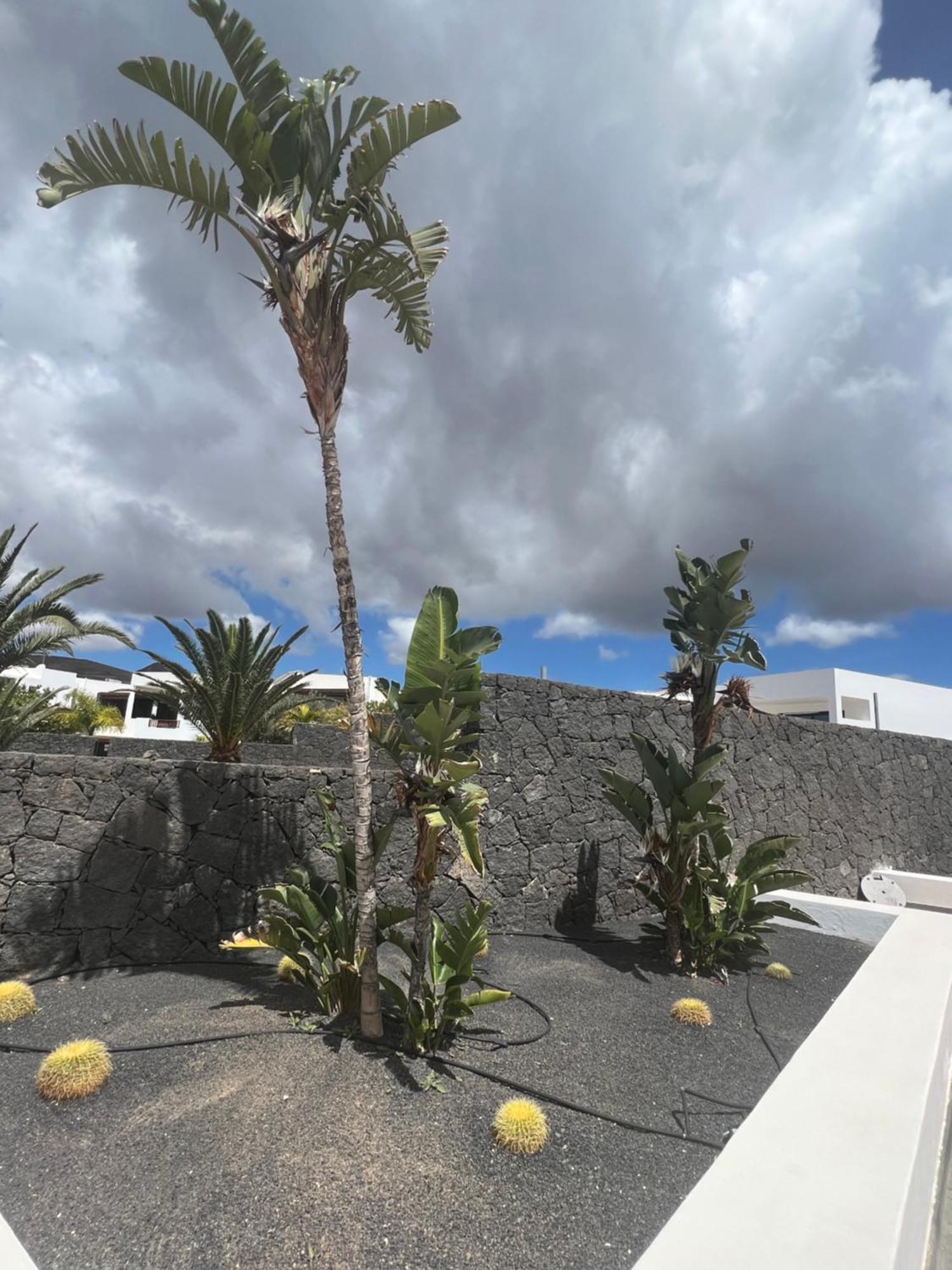 Villa Dedalos - A Luxury Large Villa With A Heated Pool In Puerto Calero Bagian luar foto